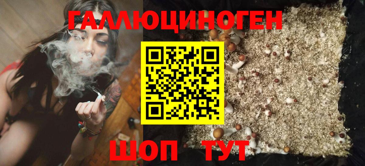 купить наркотики цена  Псилоцибиновые грибы ЛСД  Псилоцибиновые грибы ЛСД  Вход с VPN  Рославль 