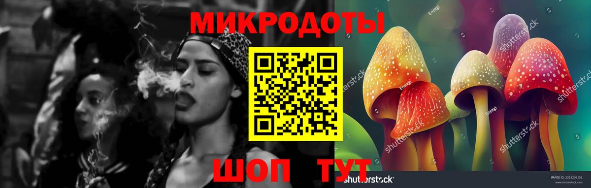 Псилоцибиновые грибы Cubensis Рославль